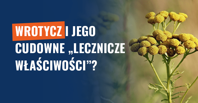 Wrotycz i jego cudowne „lecznicze właściwości”? Sprawdzamy!