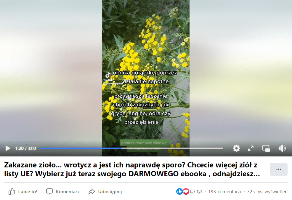 Zrzut ekranu z nagrania na temat wrotyczu, które zmieszczono na Facebooku. Na stopklatce widać wrotycz z żółtymi kwiatami. Na film zareagowało ponad 6 tys. osób i obejrzało go ponad 300 tys.