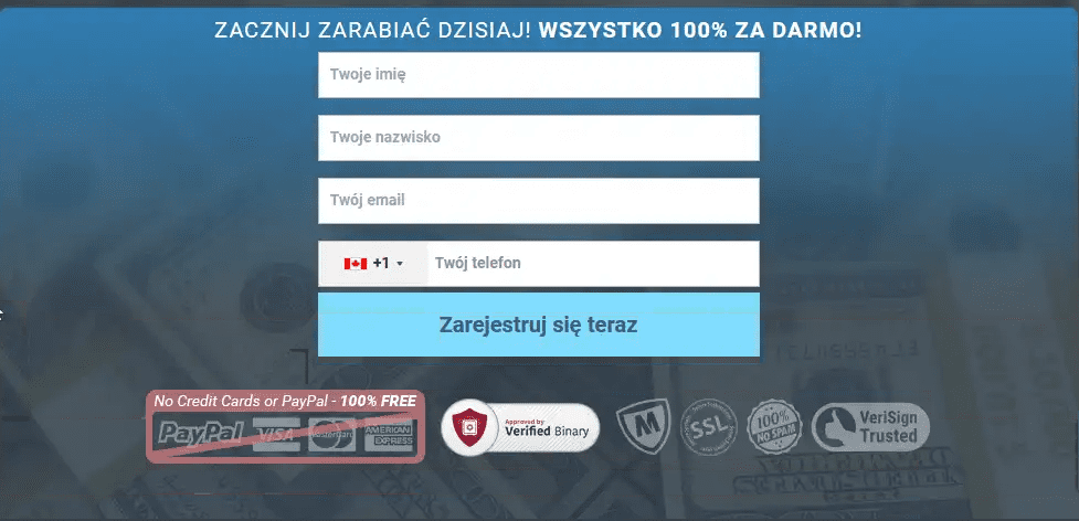 Formularz kontaktowy na stronie Profit Maximizer