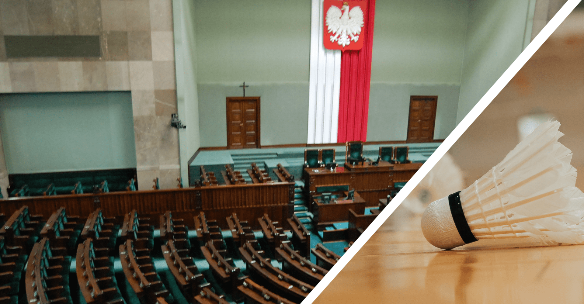 Nieznośna klęska urodzaju. Jak (nie) działają zespoły parlamentarne