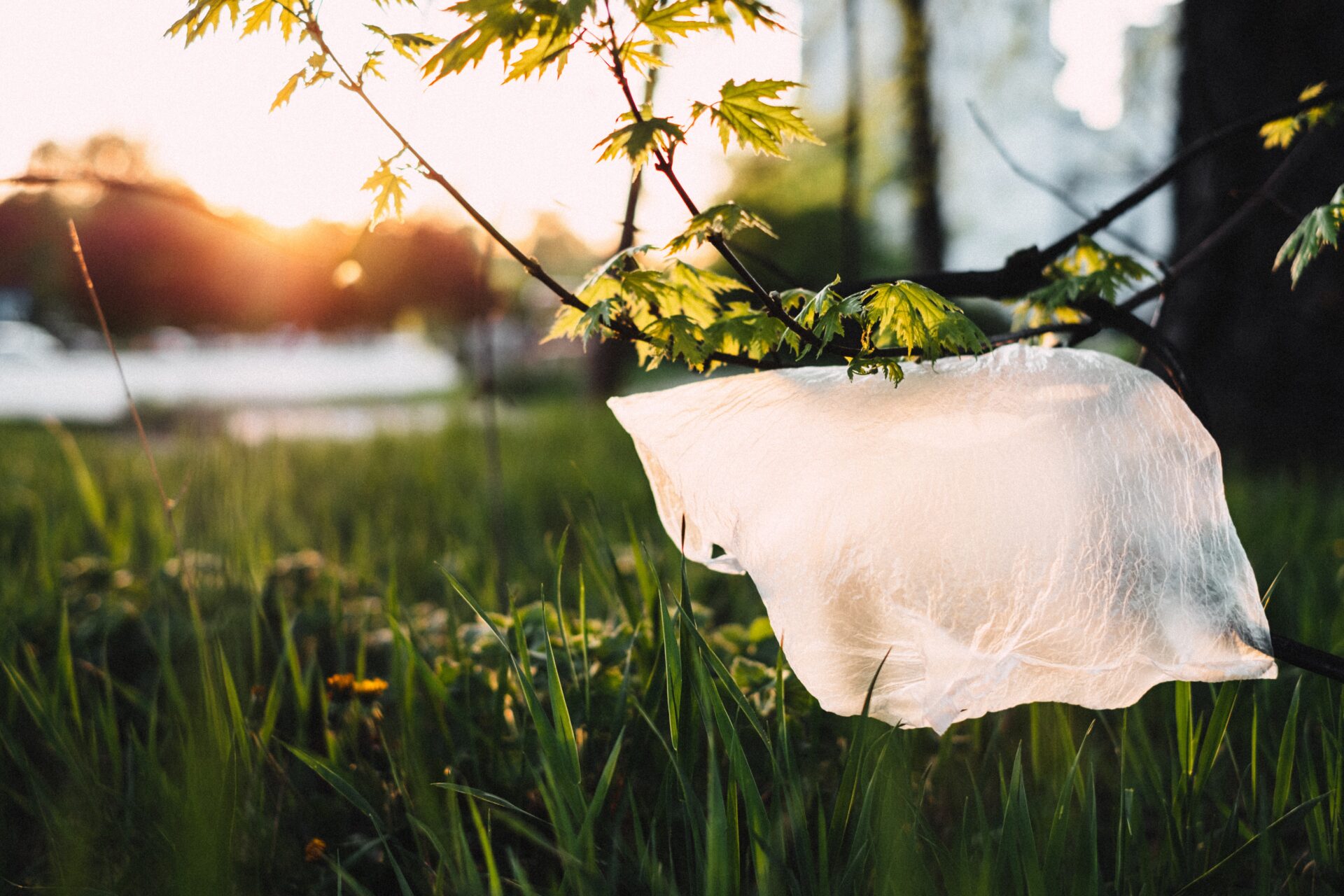 Nie wszystkim podoba się plastikowa rewolucja. KE: jest konieczna