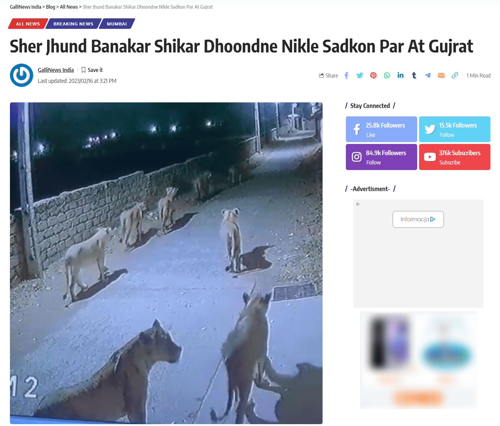 Zrzut ekranu, na którym widać lwy przechadzające się po ulicach w mieście. Klatka z nagrania została opublikowana w jednej z indyjskich gazet.