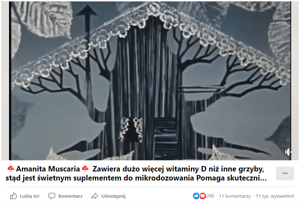 Zrzut ekranu nagrania o muchomorach czerwonych, które zamieszczono na Facebooku. Na stopklatce widać fragment wstępu ze starej bajki „Żwirek i muchomorek”.