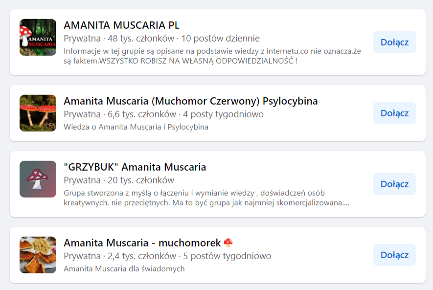 Zrzut ekranu, który przedstawia listę kilku grup o czerwonych muchomorach na Facebooku. 