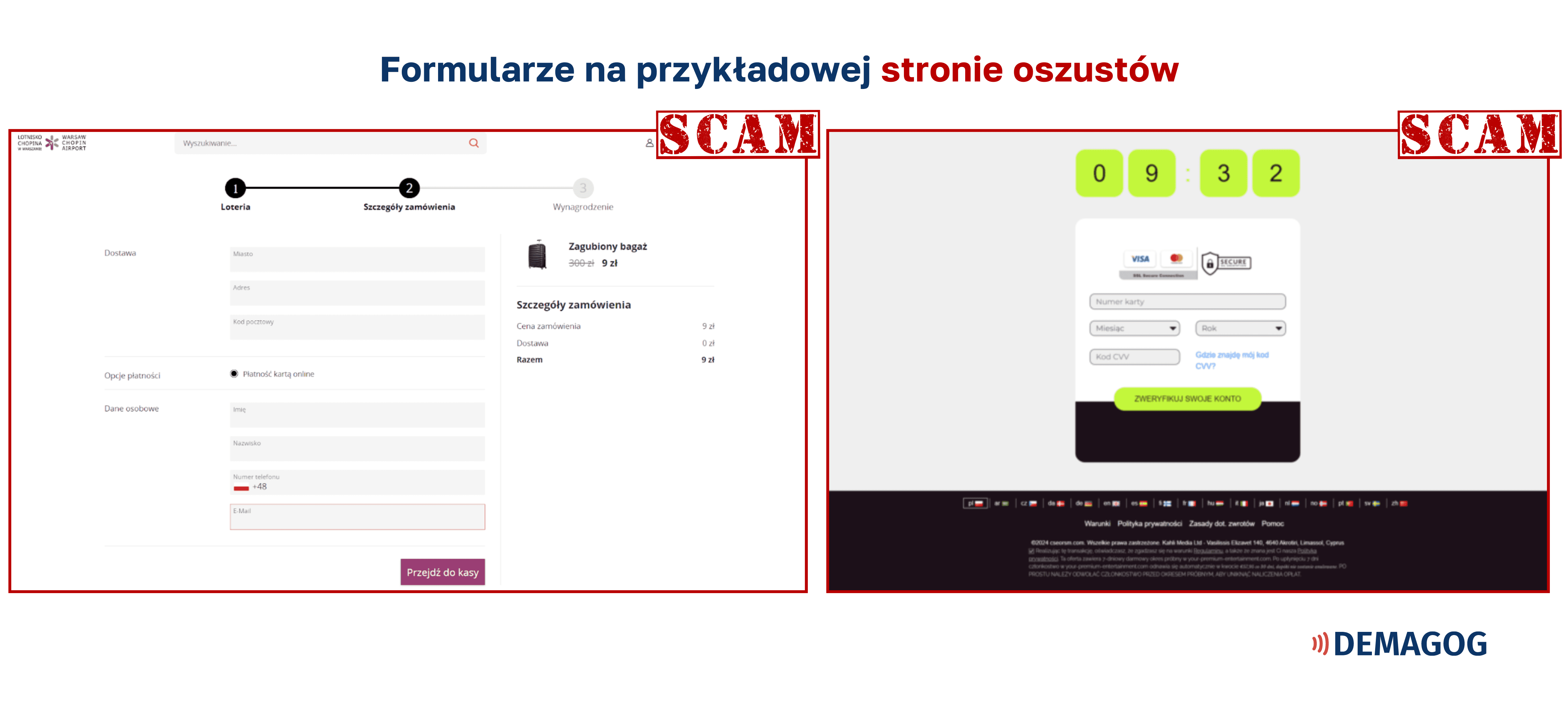 Formularze na przykładowej stronie oszustów