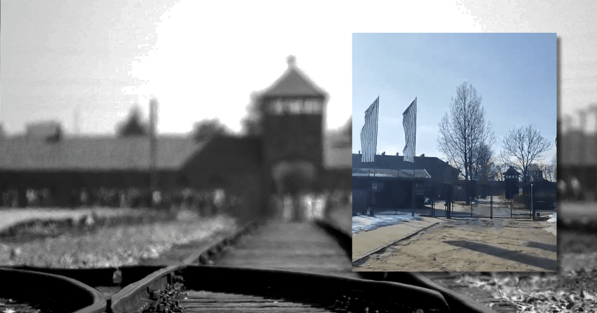 screen z TikToka przedstawiający flagi w Auschitz.