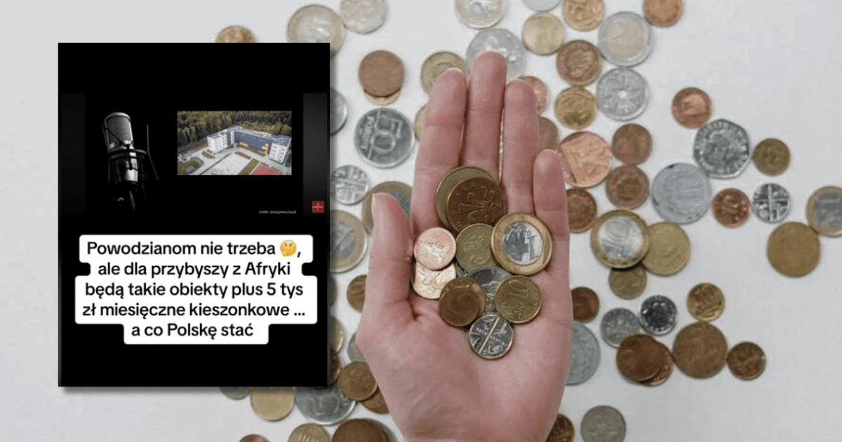 zdjęcie fałszywej informacji, która jest opisywana w analizie, w tle zdjęcie monet