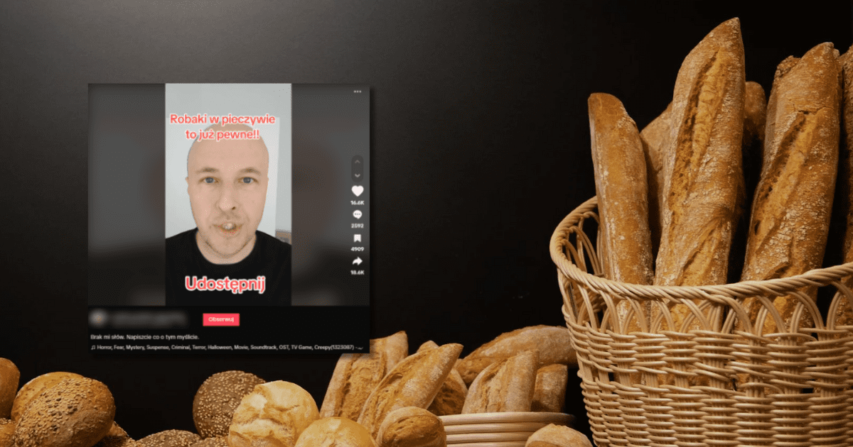 w tle pieczywo, zrzut ekranu z TikToka z informacją o tym, że robaki w pieczywie to już pewne