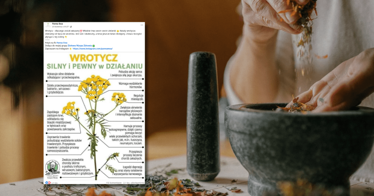 w tle ręce kobiety trzymające suszone kwiaty, zrzut ekranu z Facebooka