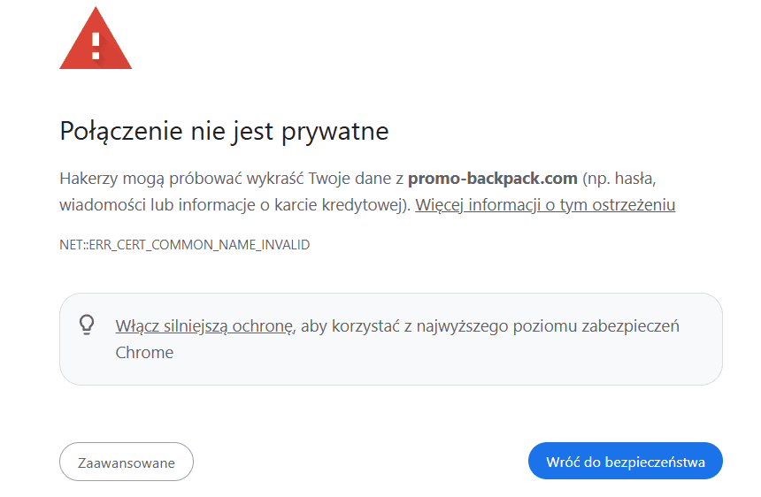 Zrzut ekranu strony oszustów.